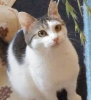 あかりちゃんの写真