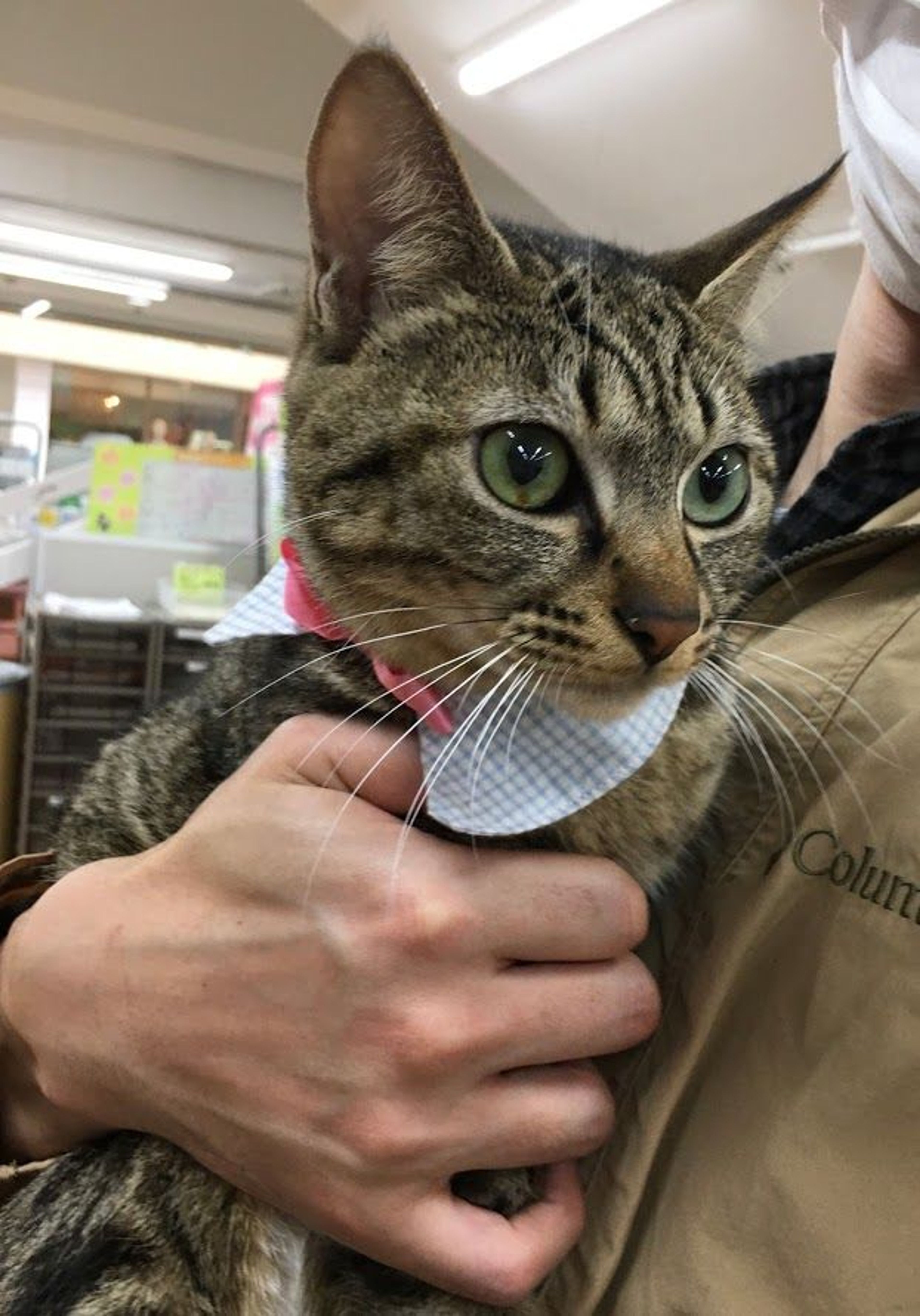 pet-image-4