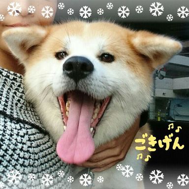名無しちゃん