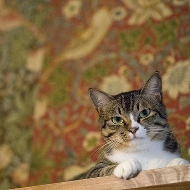 名無しちゃんの写真