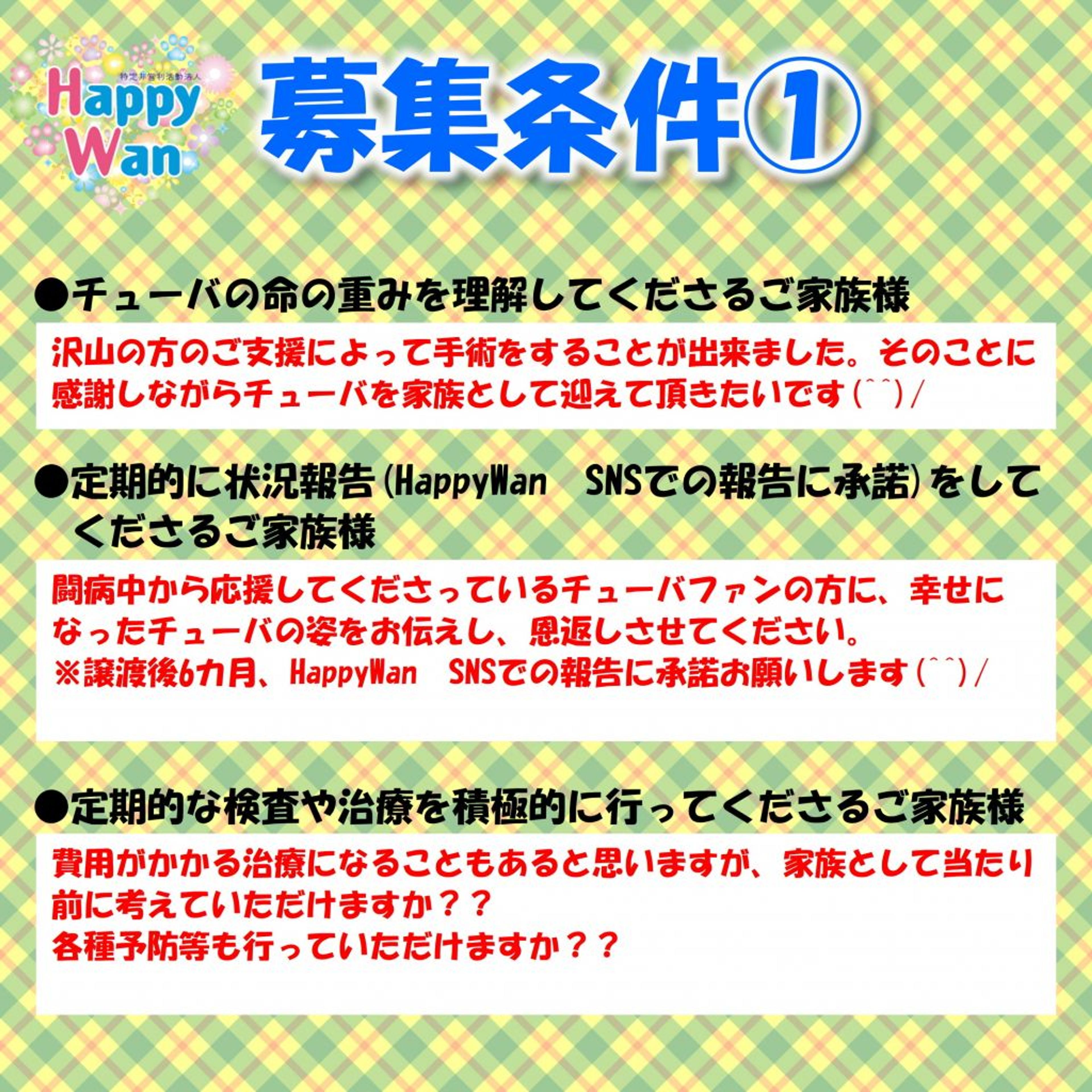 pet-image-9