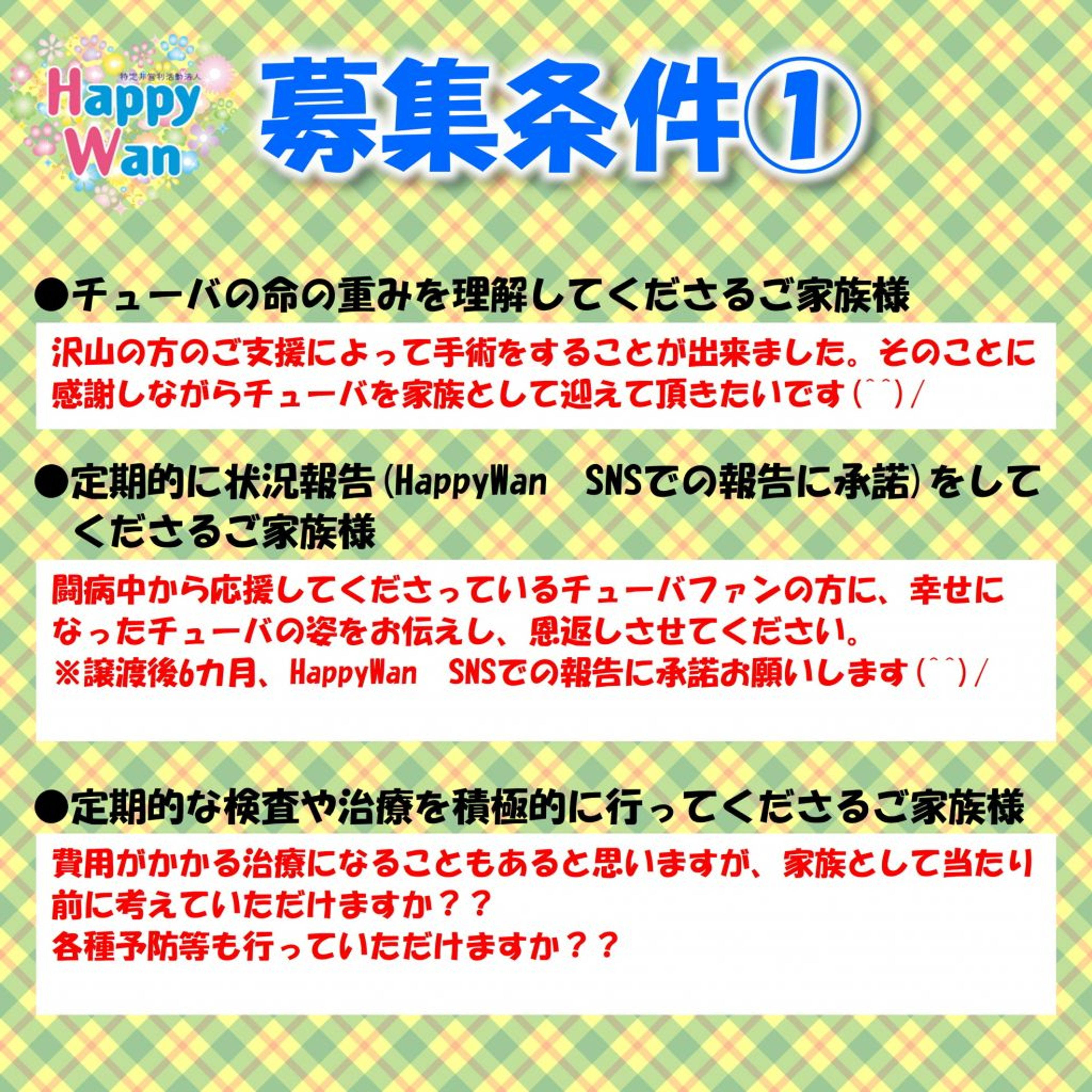 pet-image-9