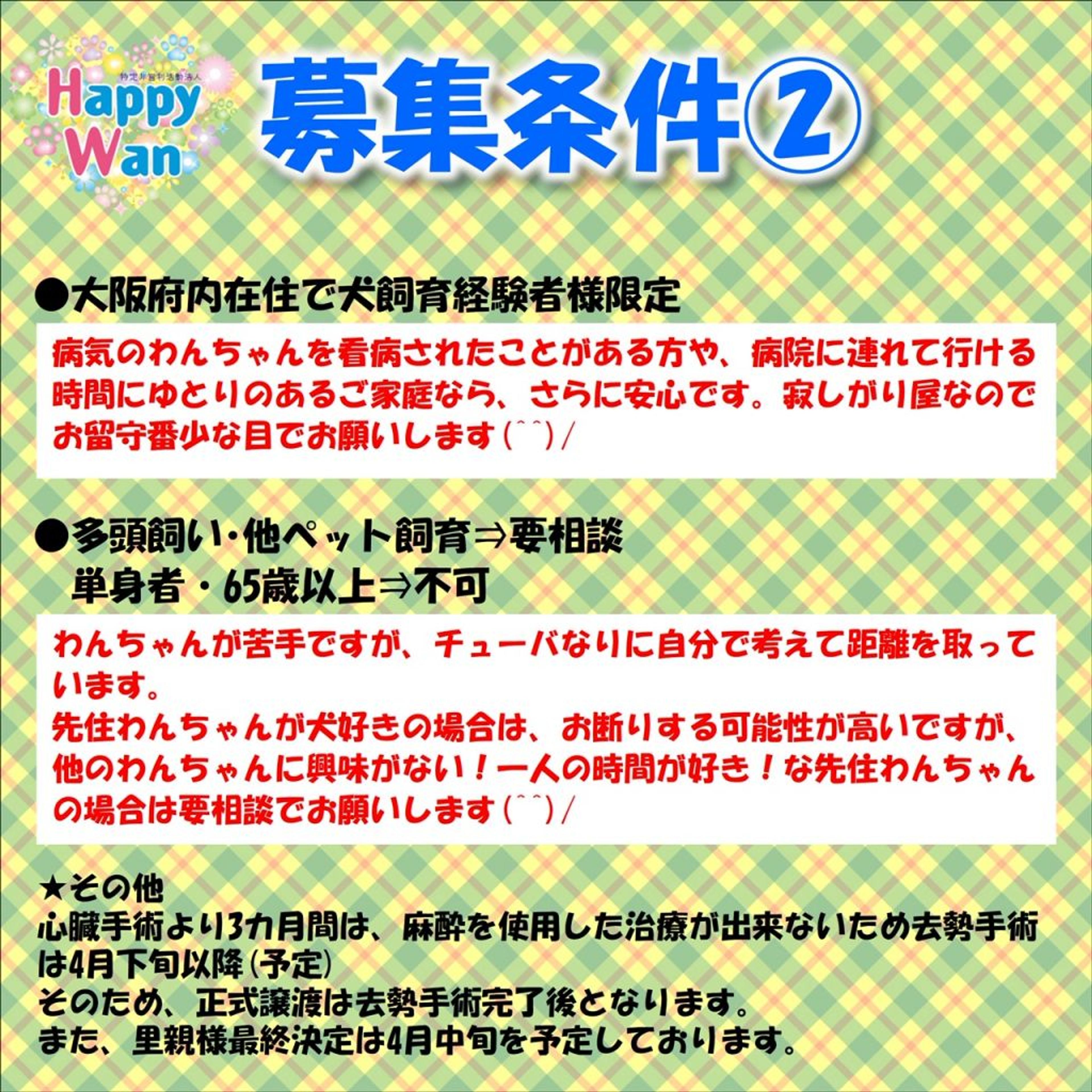 pet-image-10