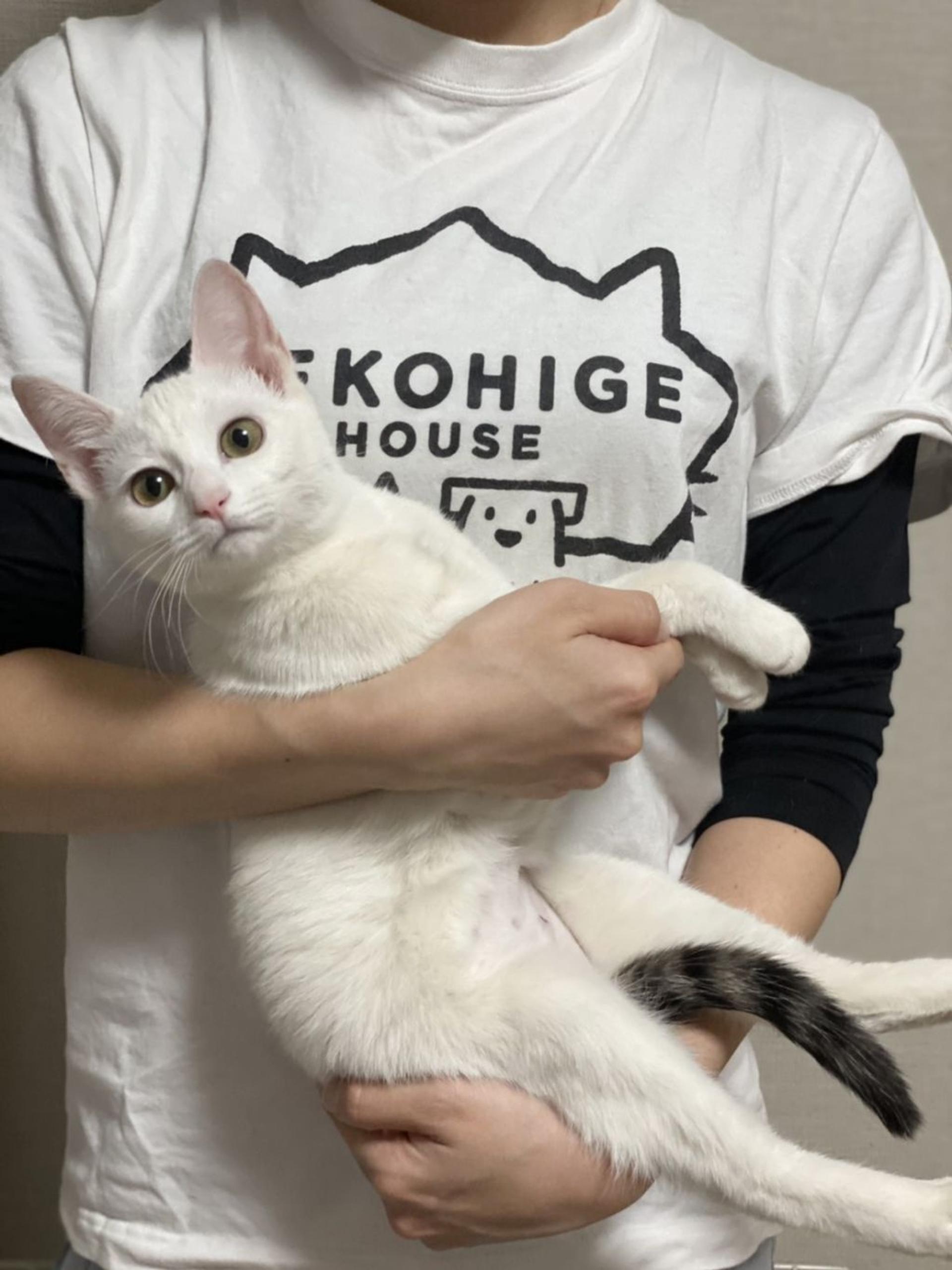 pet-image-5