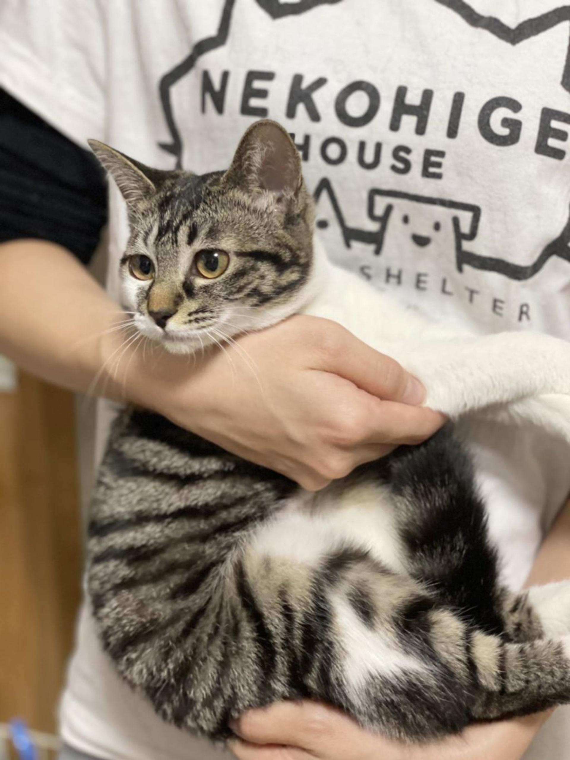 pet-image-5