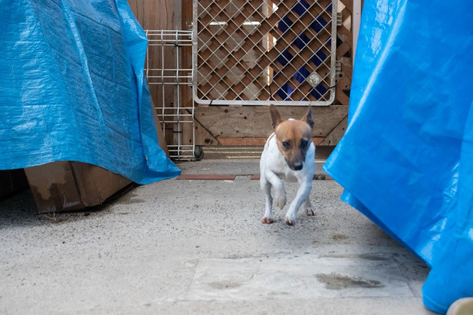 thumbnail-8
