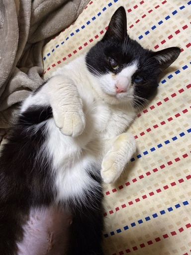 やまての写真