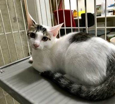 名無しちゃんの写真