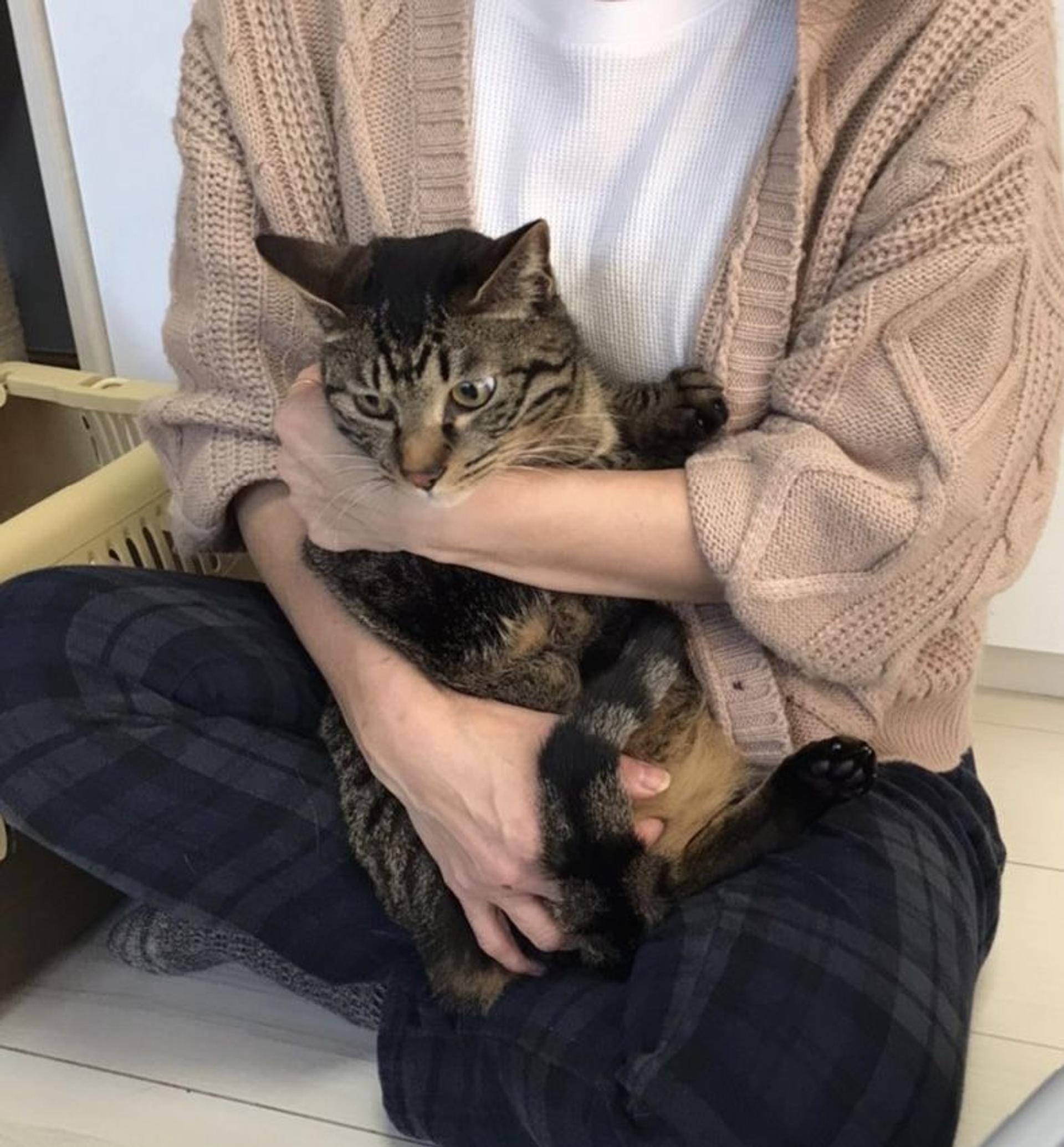 pet-image-5