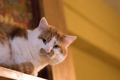名無しちゃんの写真