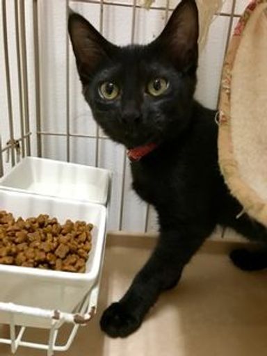 名無しちゃんの写真