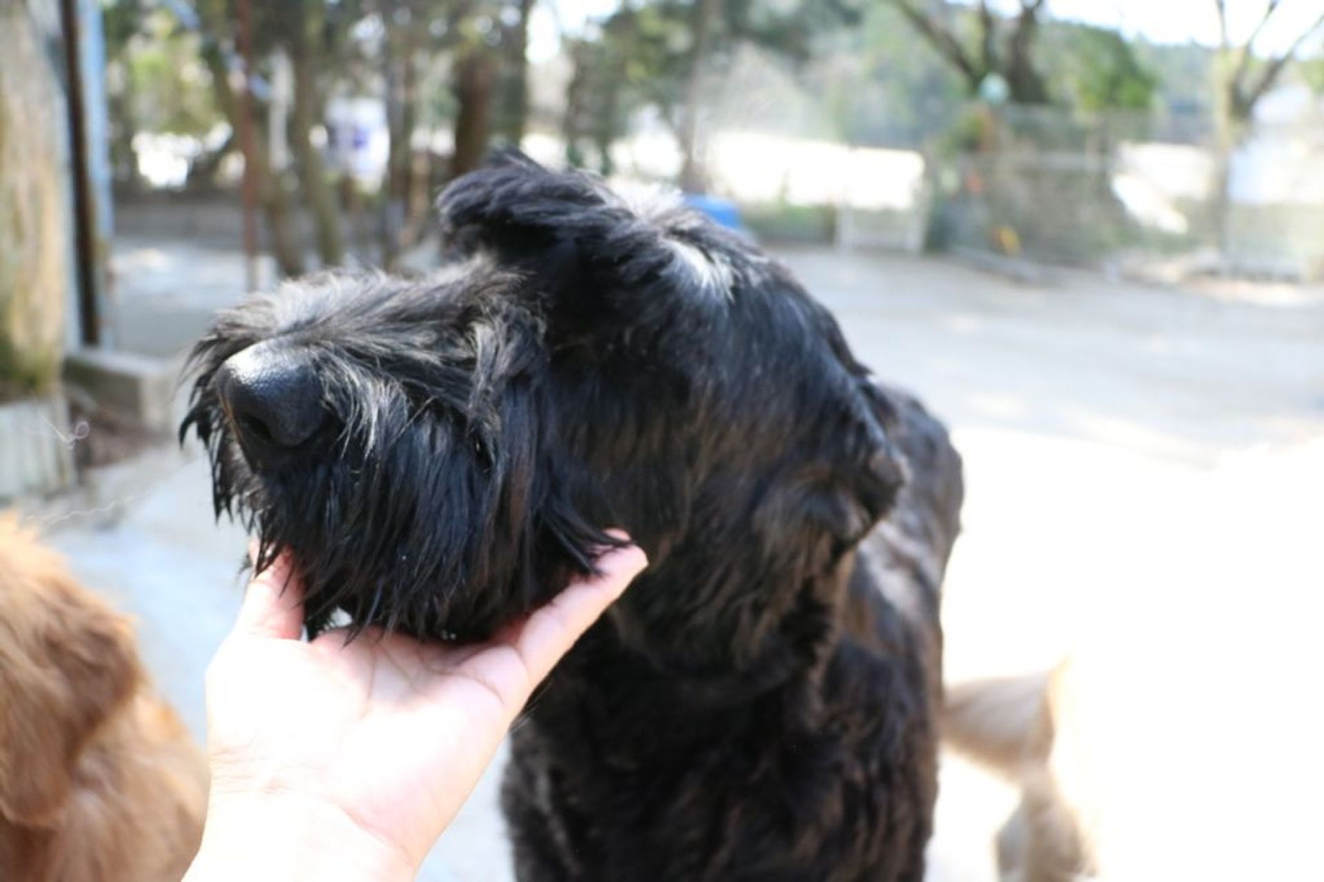 thumbnail-3