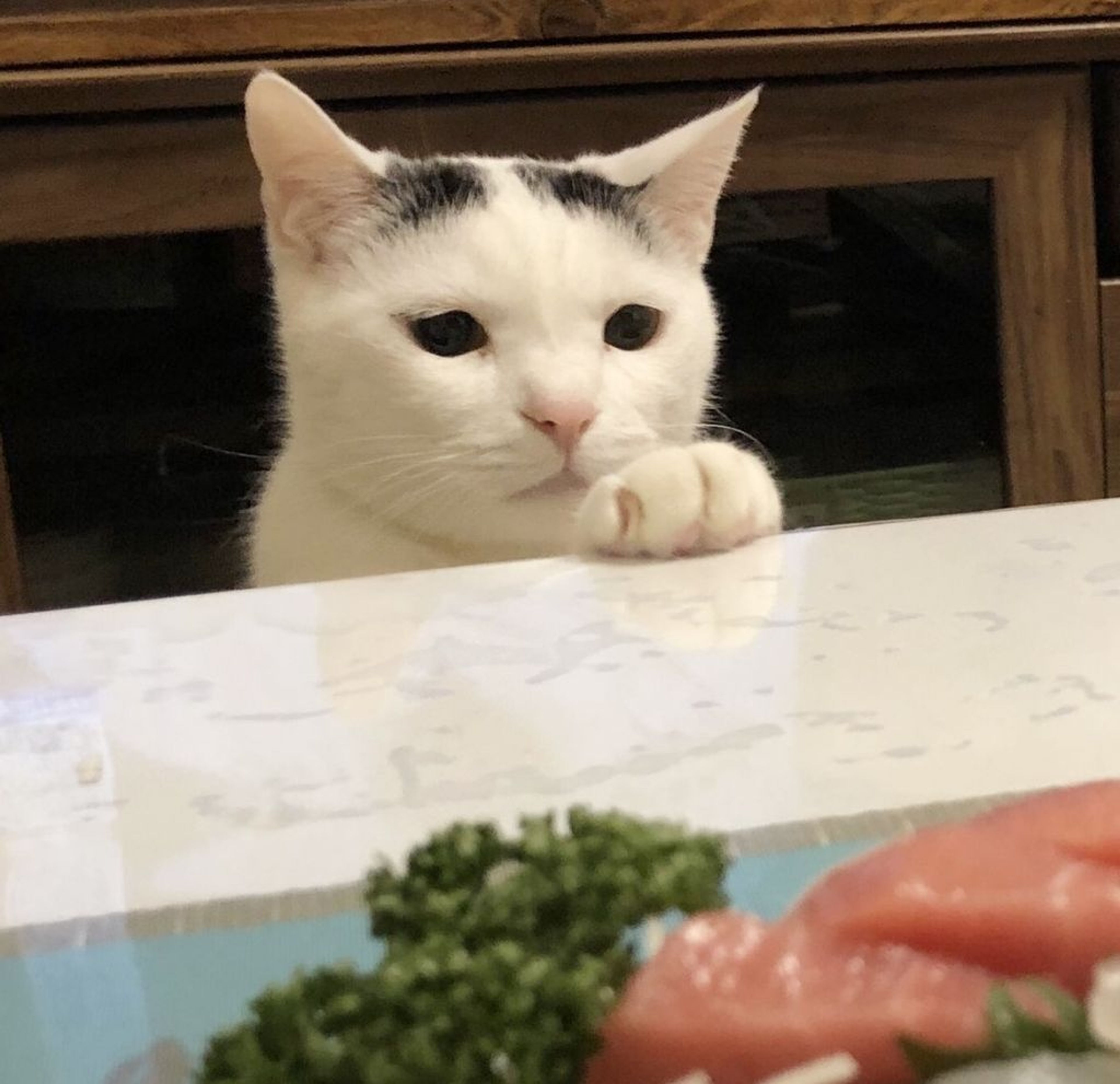 雑種（ミックス猫）・オスの里親募集の写真