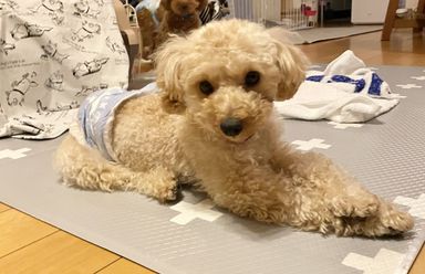 つぶの写真