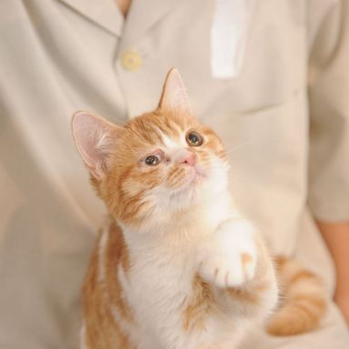 ナッツの写真