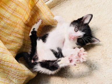 みーたんの写真