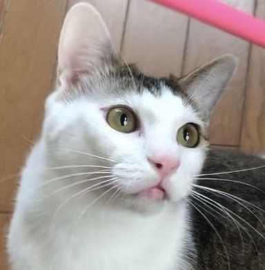 くらの写真