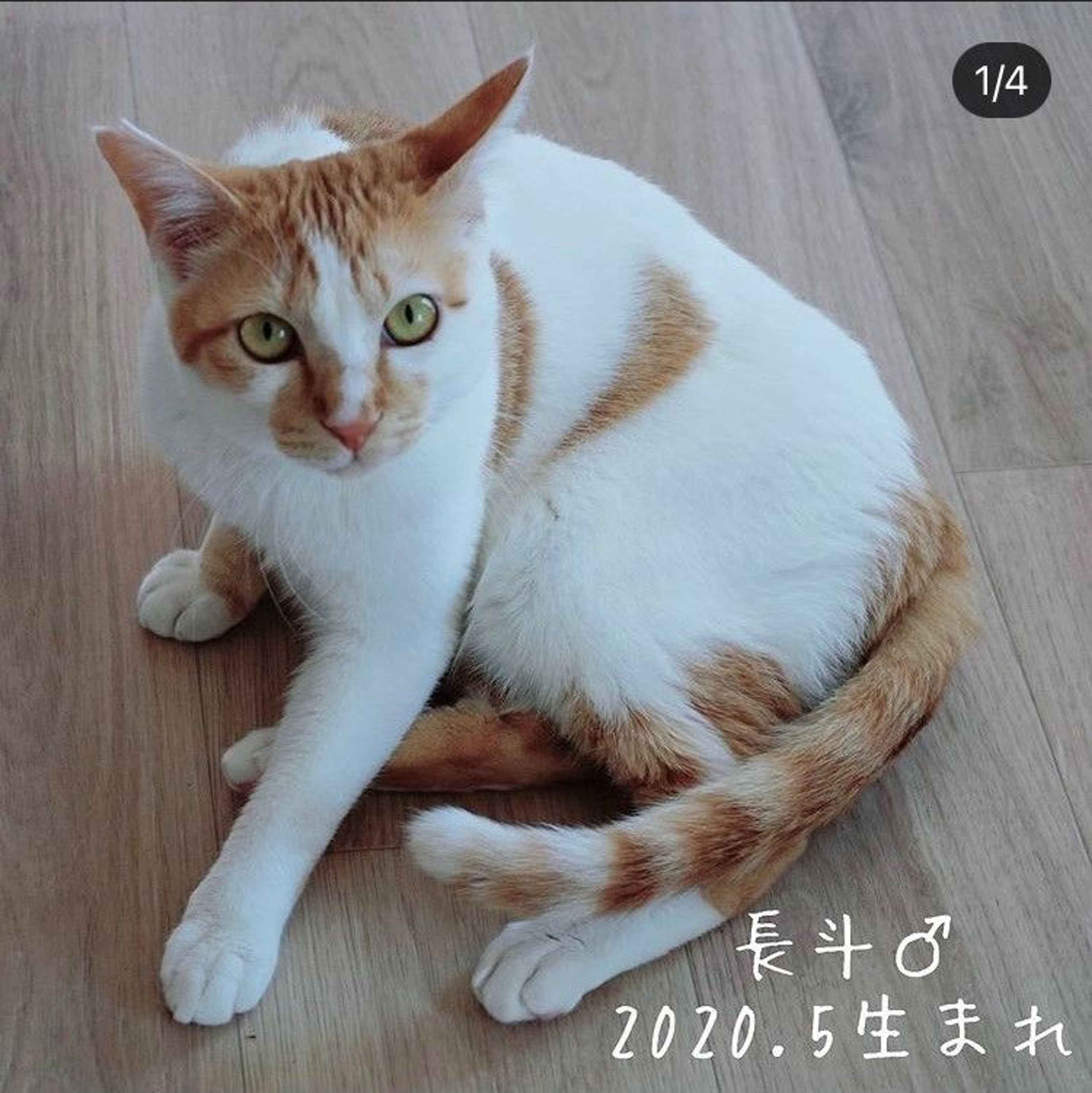 image-0