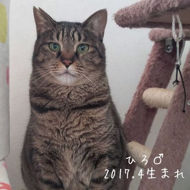 ひろ