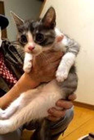 マルの写真