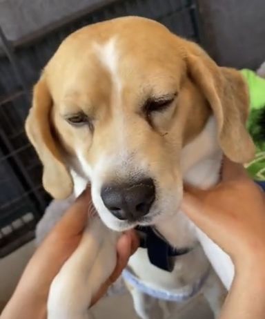 チャンス