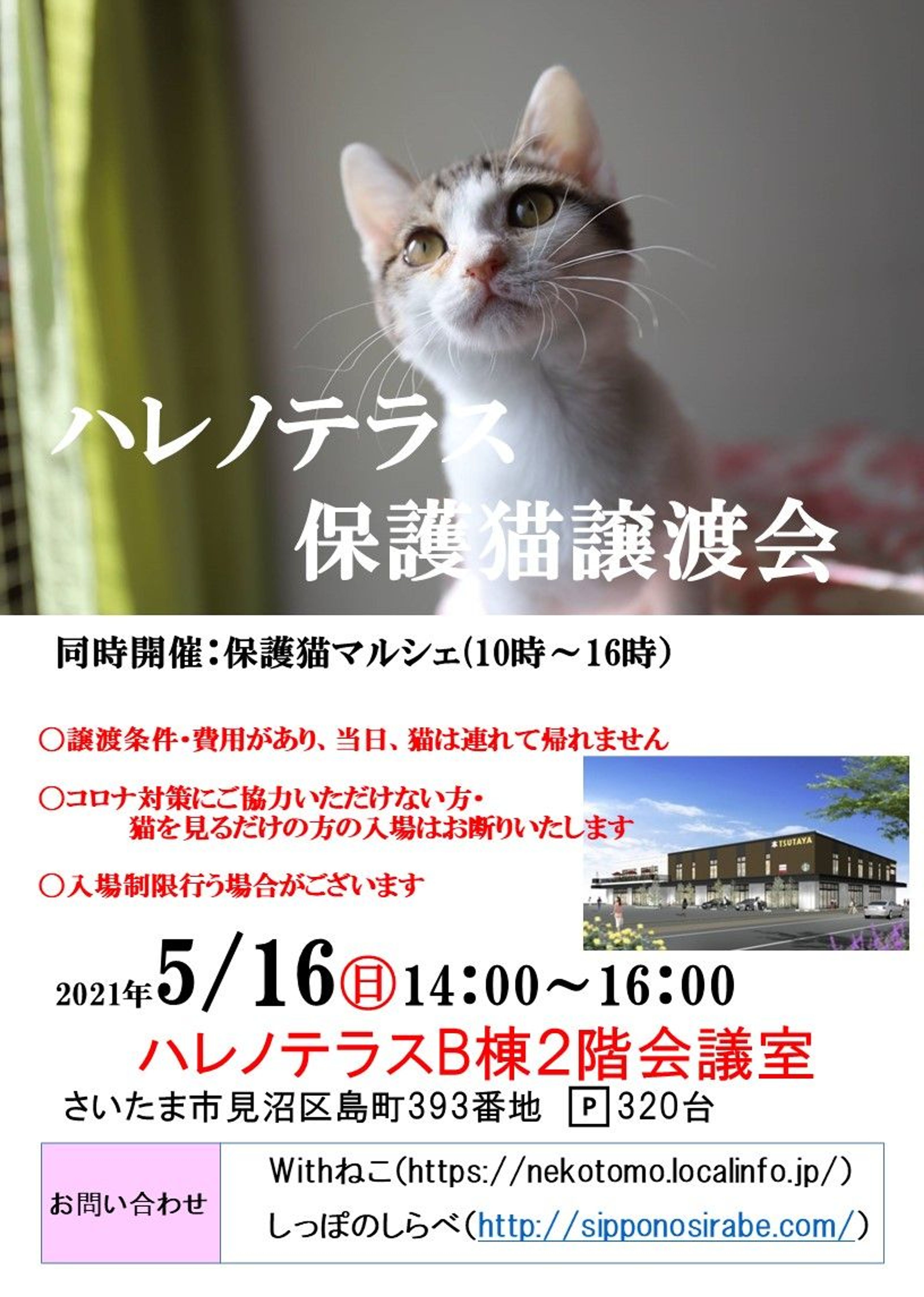 pet-image-6