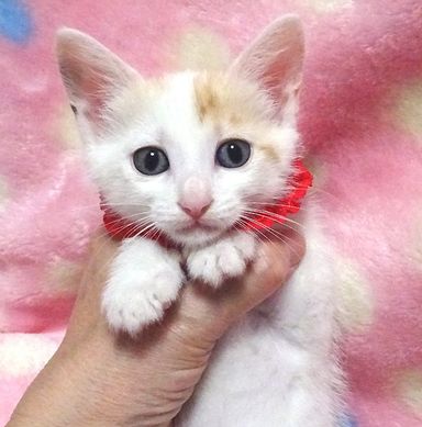 ユリちゃんの写真