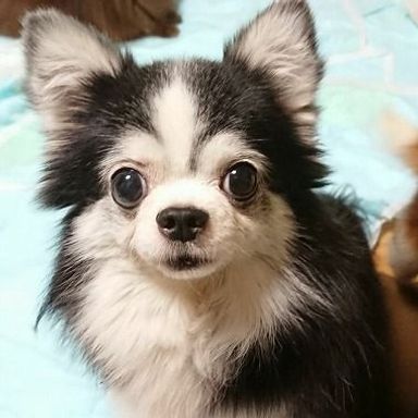 名無しちゃんの写真