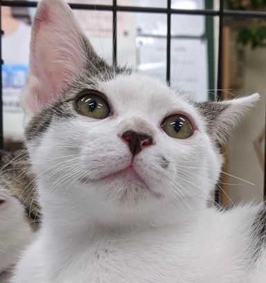 ムロの写真