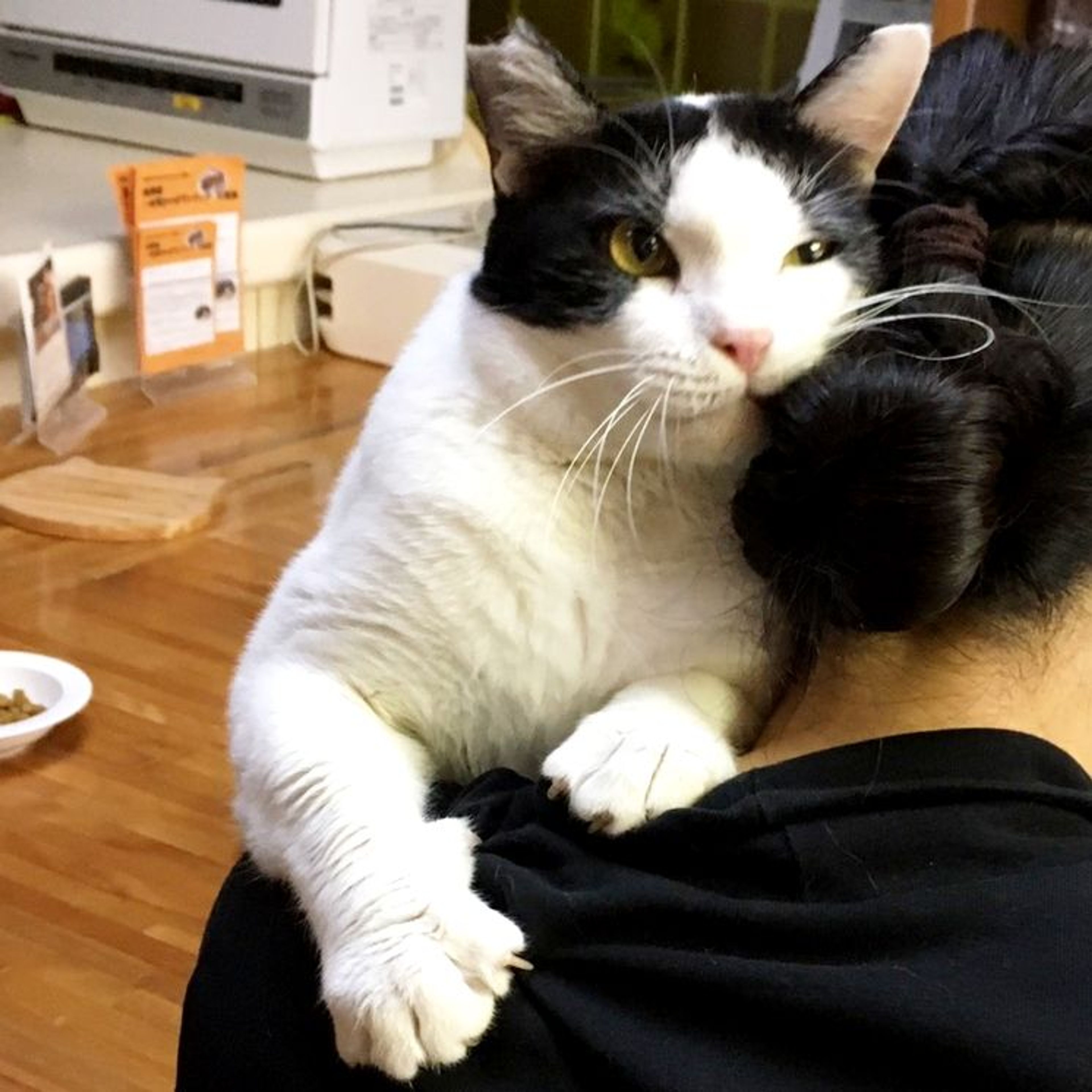 pet-image-6