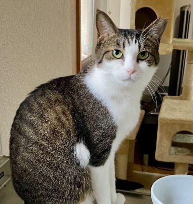 メイの写真