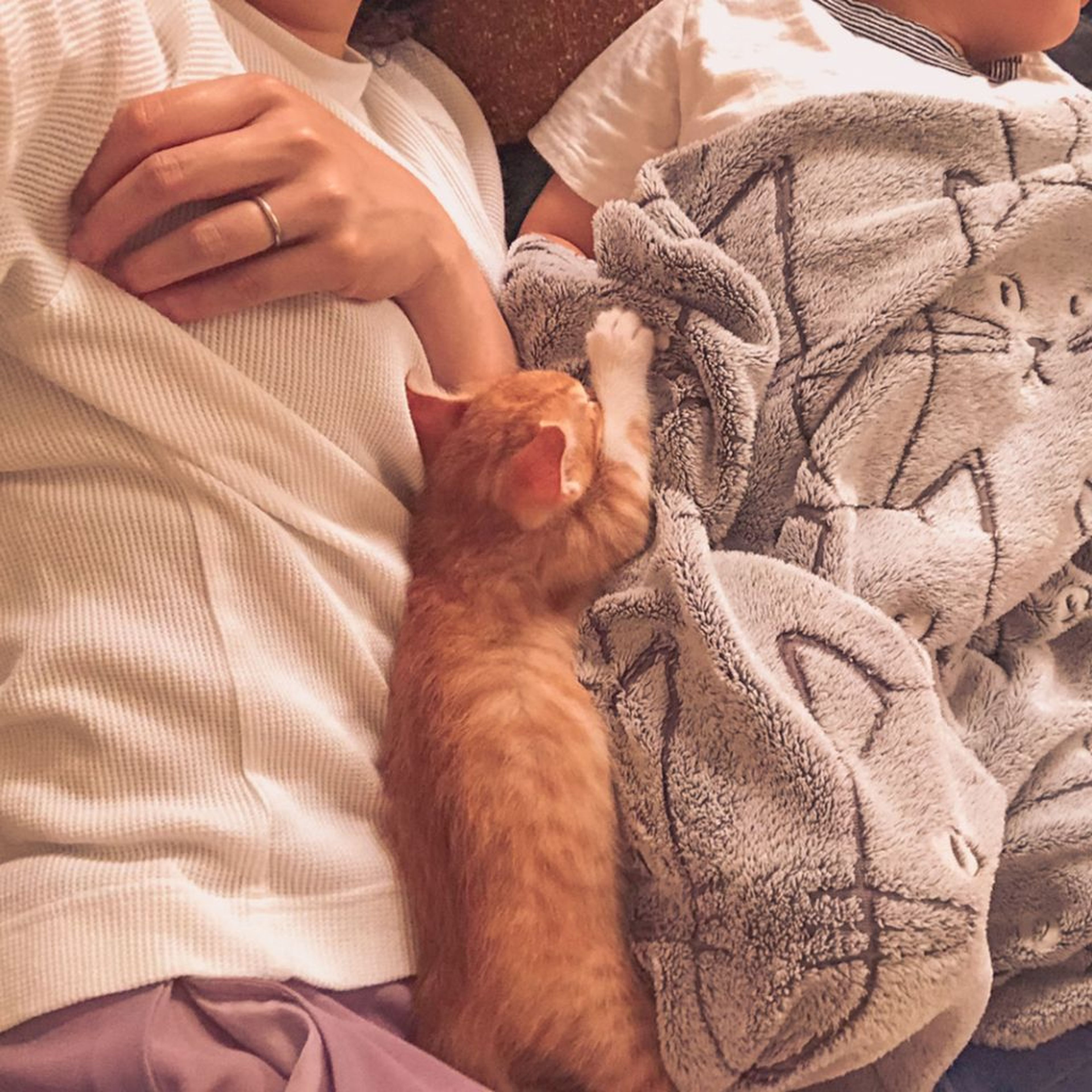 pet-image-4