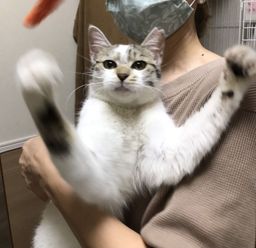 thumb-1