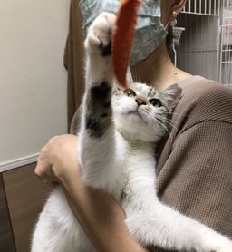 thumb-5