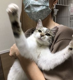 thumb-6