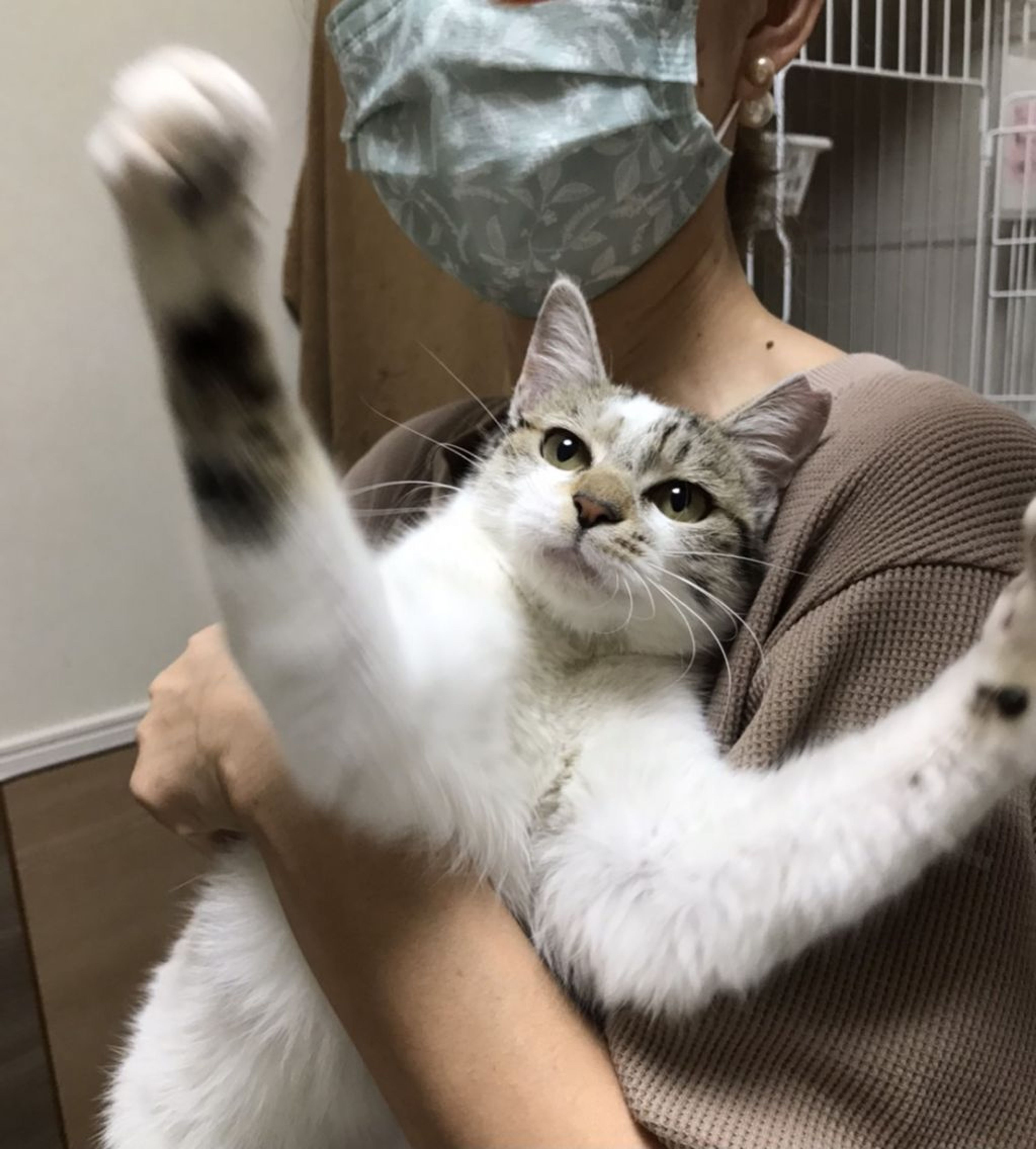 image-6