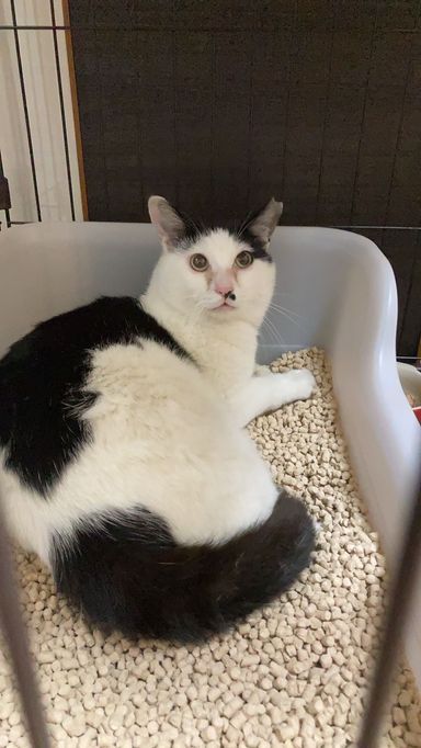 お兄ちゃんの写真