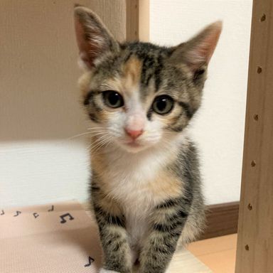 まるの写真