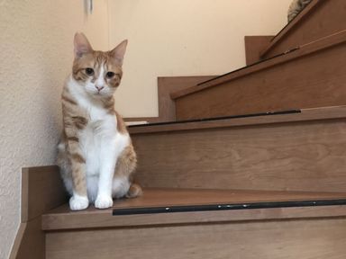 名無しちゃんの写真