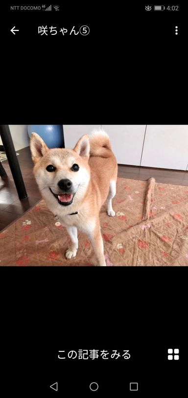 さき