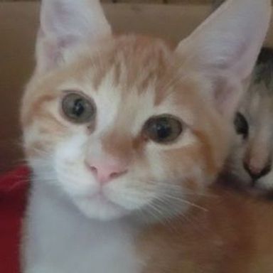 名無しちゃんの写真