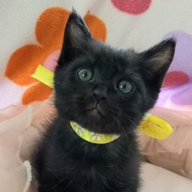たんちゃんの写真