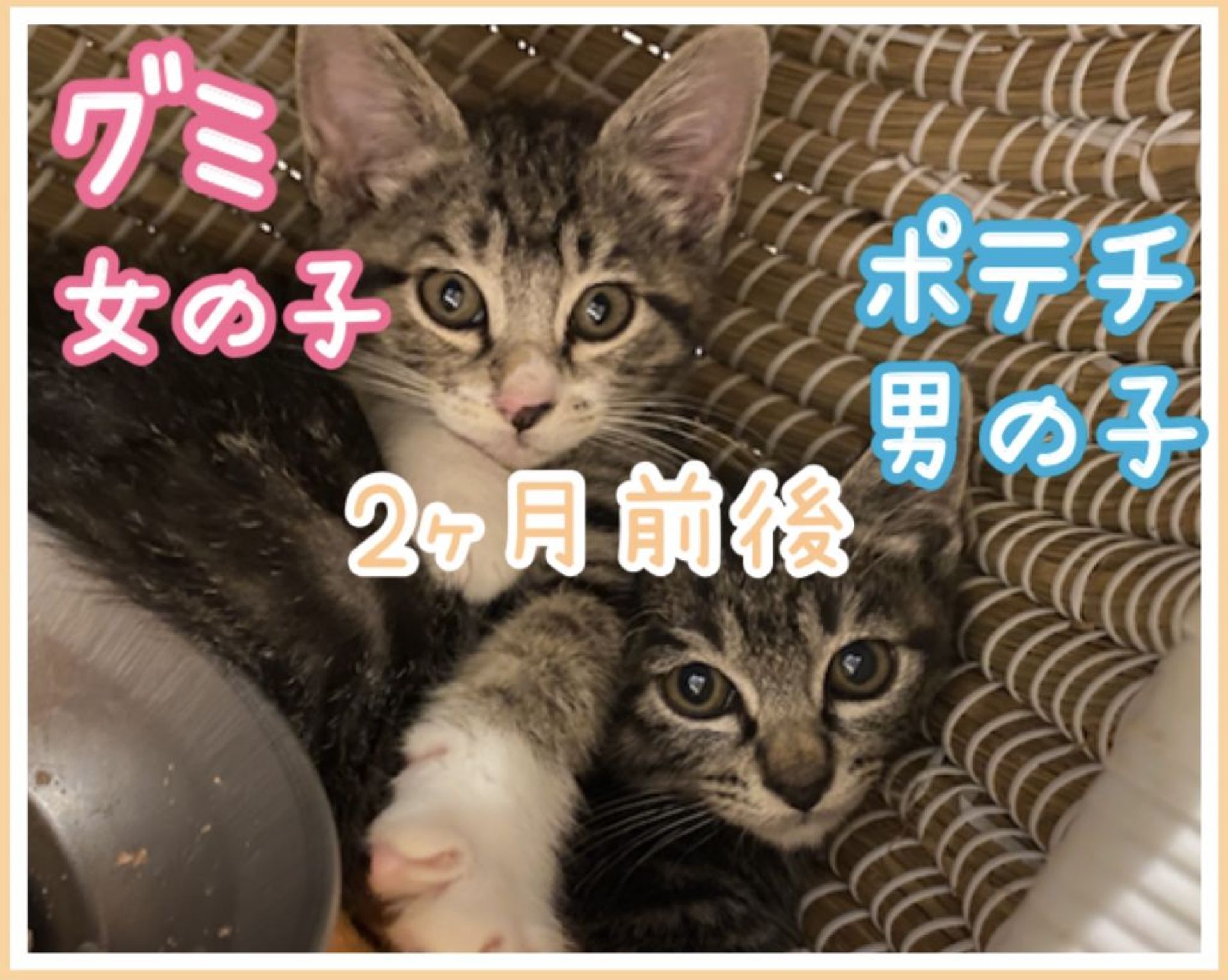 thumbnail-5