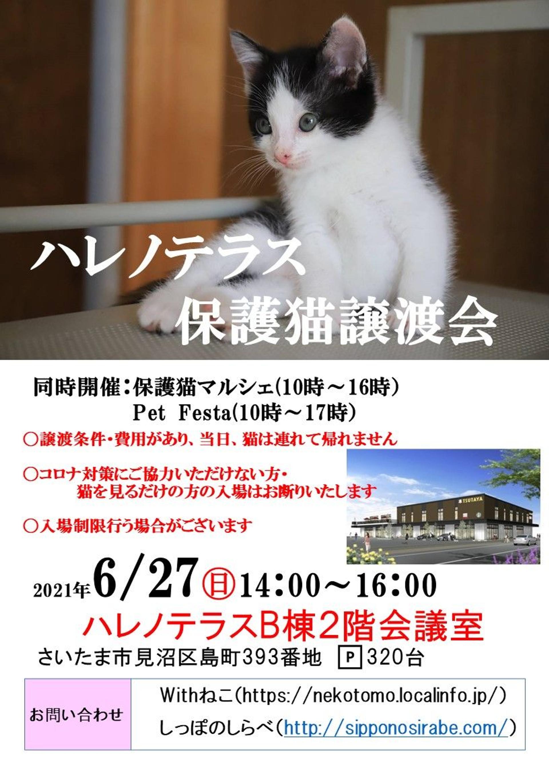 pet-image-6