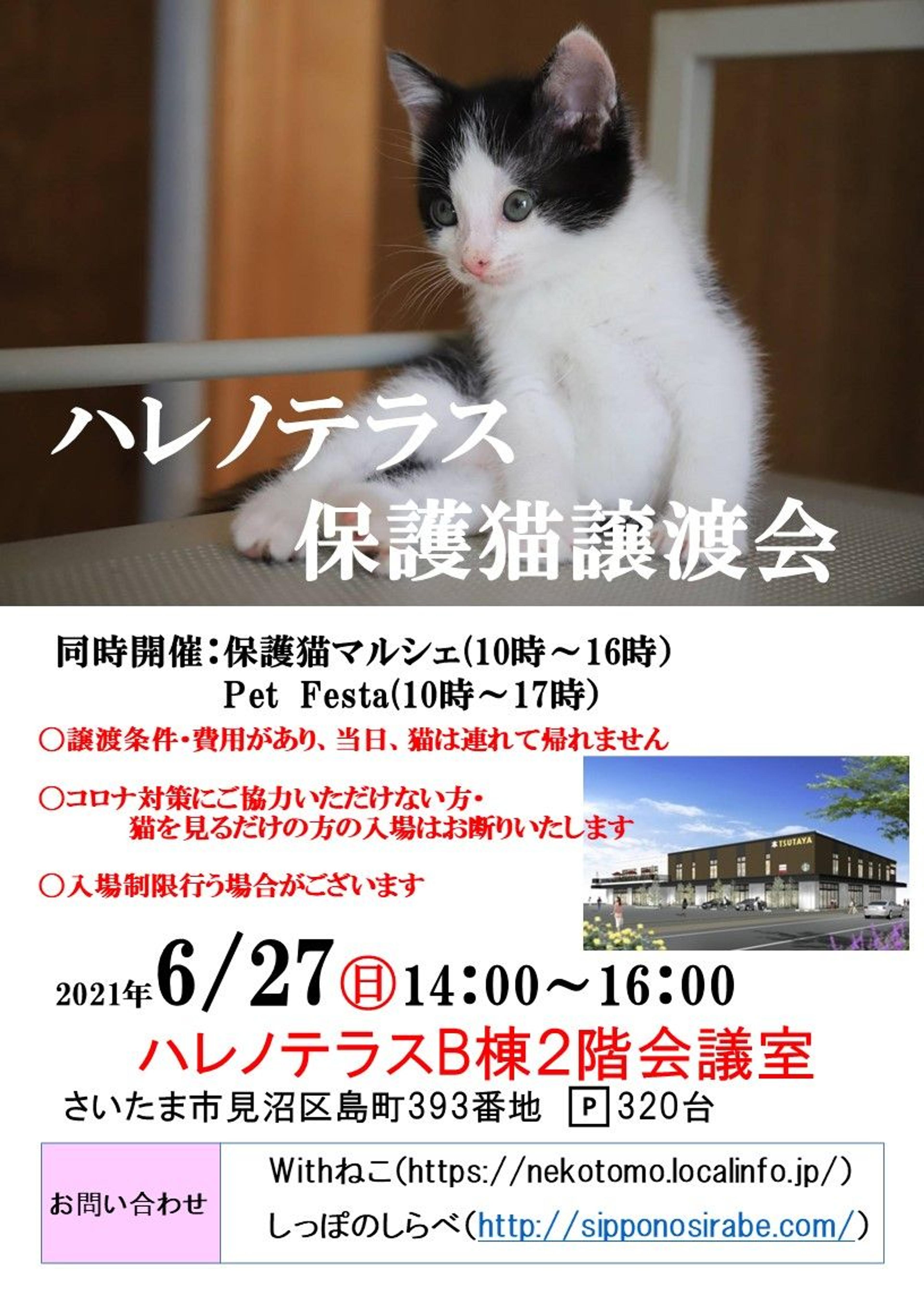 pet-image-6