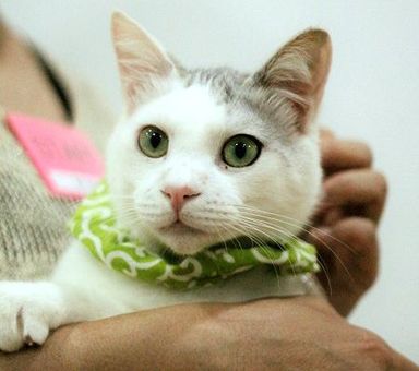 名無しちゃんの写真