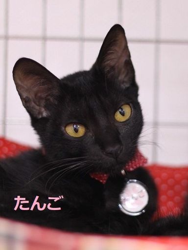 名無しちゃんの写真