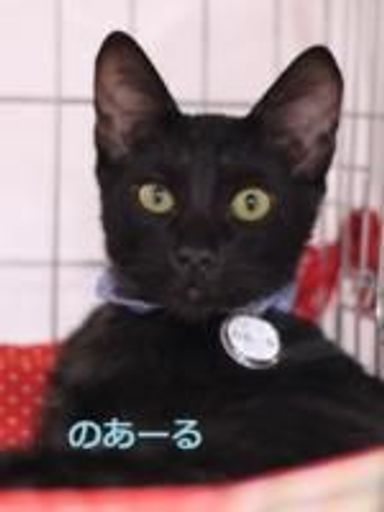 名無しちゃんの写真