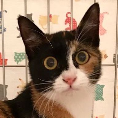 名無しちゃんの写真