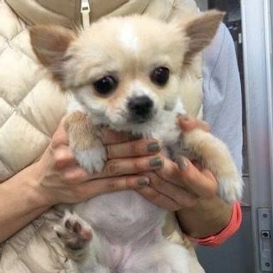 名無しちゃん